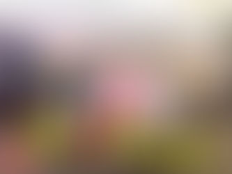 華人置業集團歡慶成立100週年 送出近千萬豐富禮品顧客學生嬰兒父親長者專享獎賞 員工各賞1萬元消費