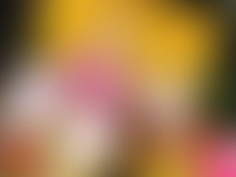 香港泳裝設計師Fannie Lau設計時尚布口罩