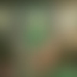 邱鋒澤新歌 《摺痕》拍催淚劇情MV與女神蔡思韵首演情侶 齊赴日本連拍三日完成「史上最攰MV」與重病摯愛走完最後一段路 蔡思韵活演最後的獨白 網民:「好催淚!必須準備紙巾!」