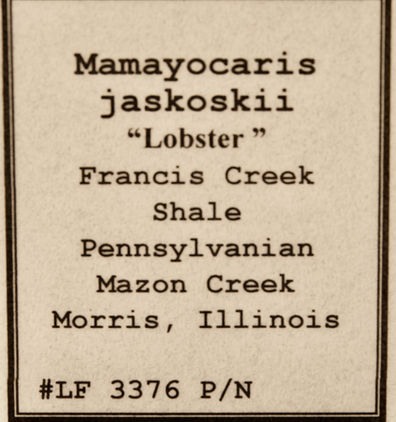 _BHL5885LF3376A.jpeg