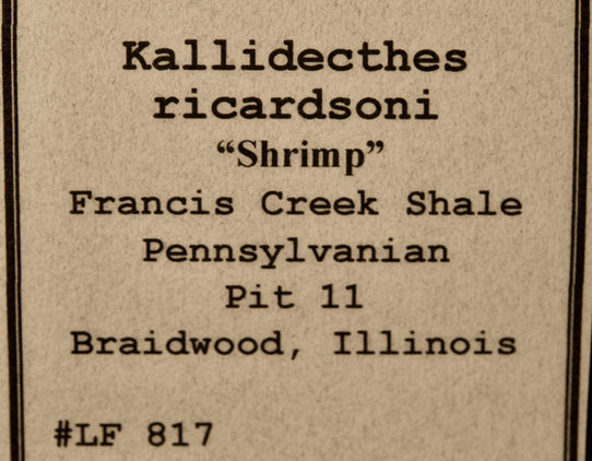_BHL5871LF817.jpeg