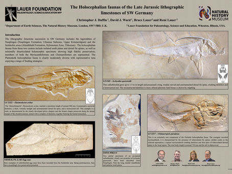 Lauer Foundation Co-authors two 2020 SVP Posters