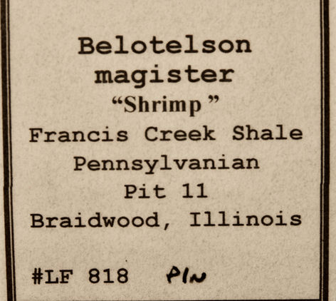 _BHL5877LF818A.jpeg