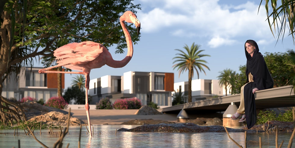 Saadiyat Lagoons 08.jpeg