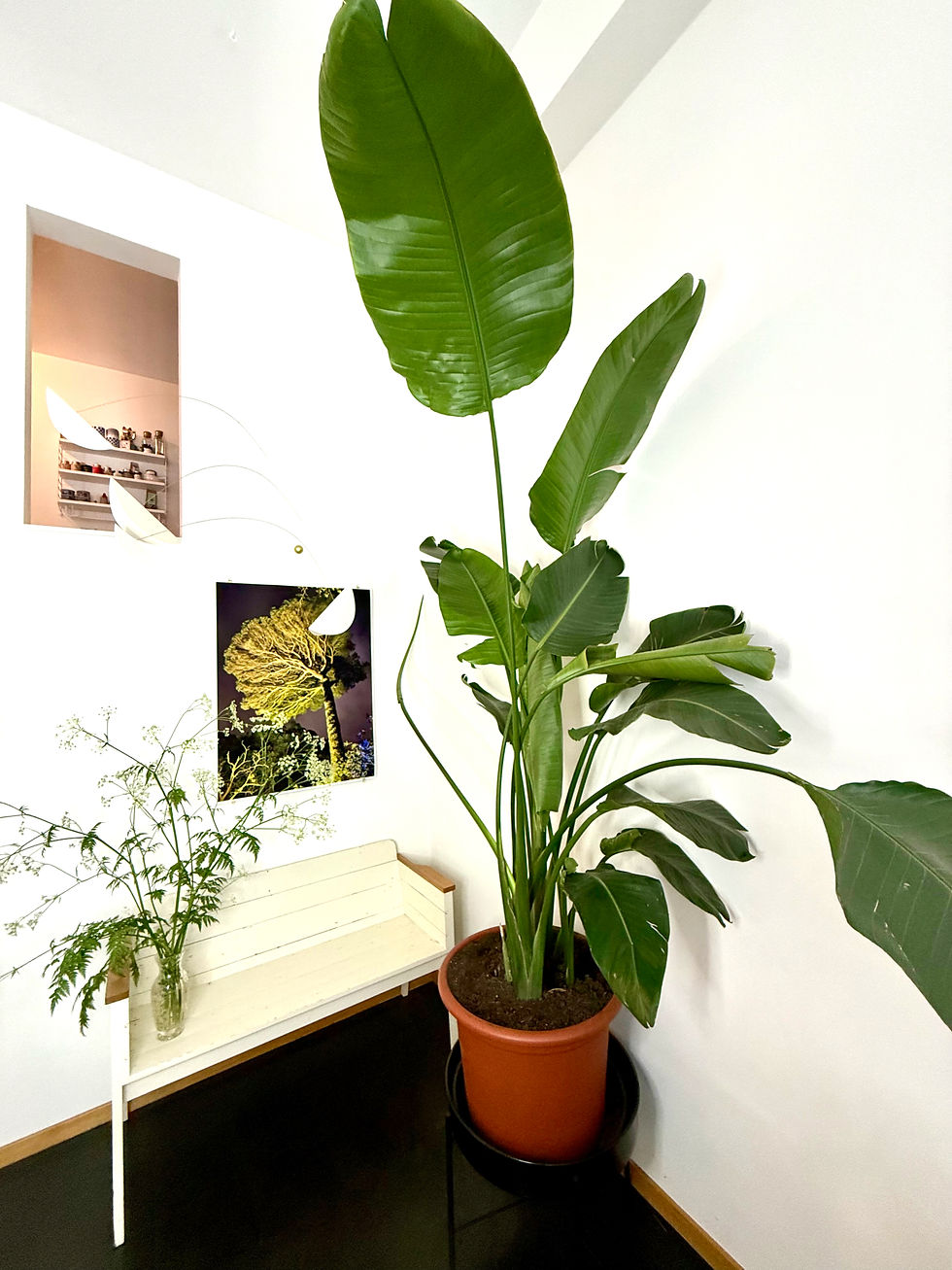 Artprint von la casita verde - arraigado