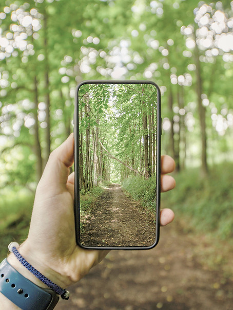 smartphone digital detox