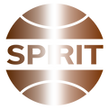 bronze basketball spirit logo