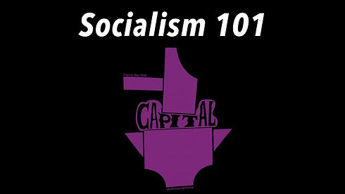 Socialism 101.jpeg