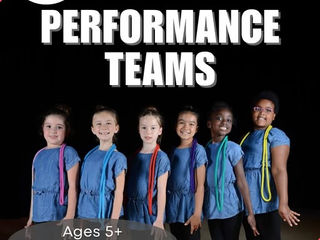 Recreational Performance Teams