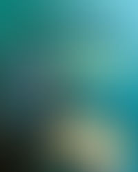 Prize Raffles & 50/50 Draw from WRGC Invitational