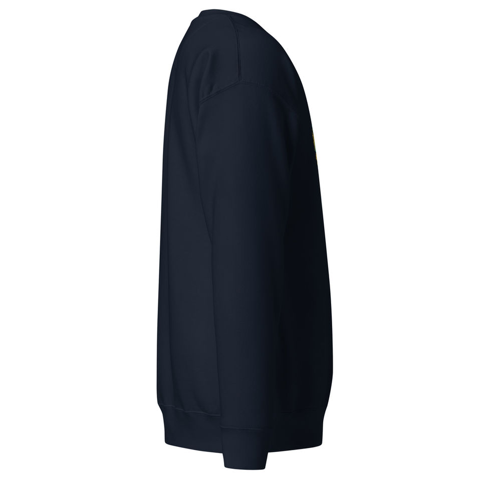luxury designer sweatshirt