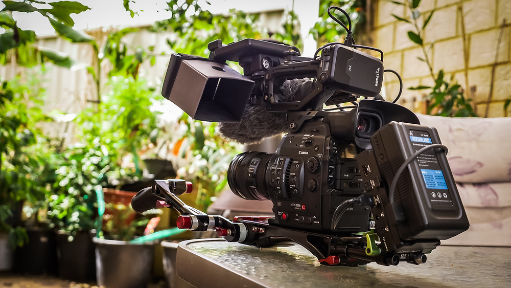Dogs Go Woof Productions C300mkii
