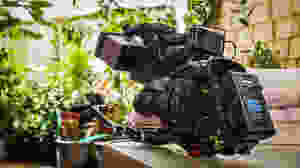 Dogs Go Woof Productions C300mkii