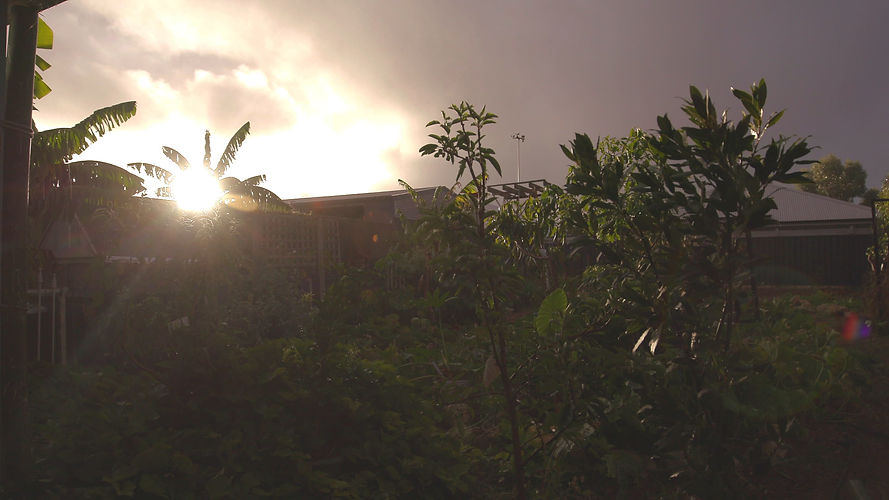 A022C505_220502TR_CONTM-06382806_Djeran Rain_edited.jpg