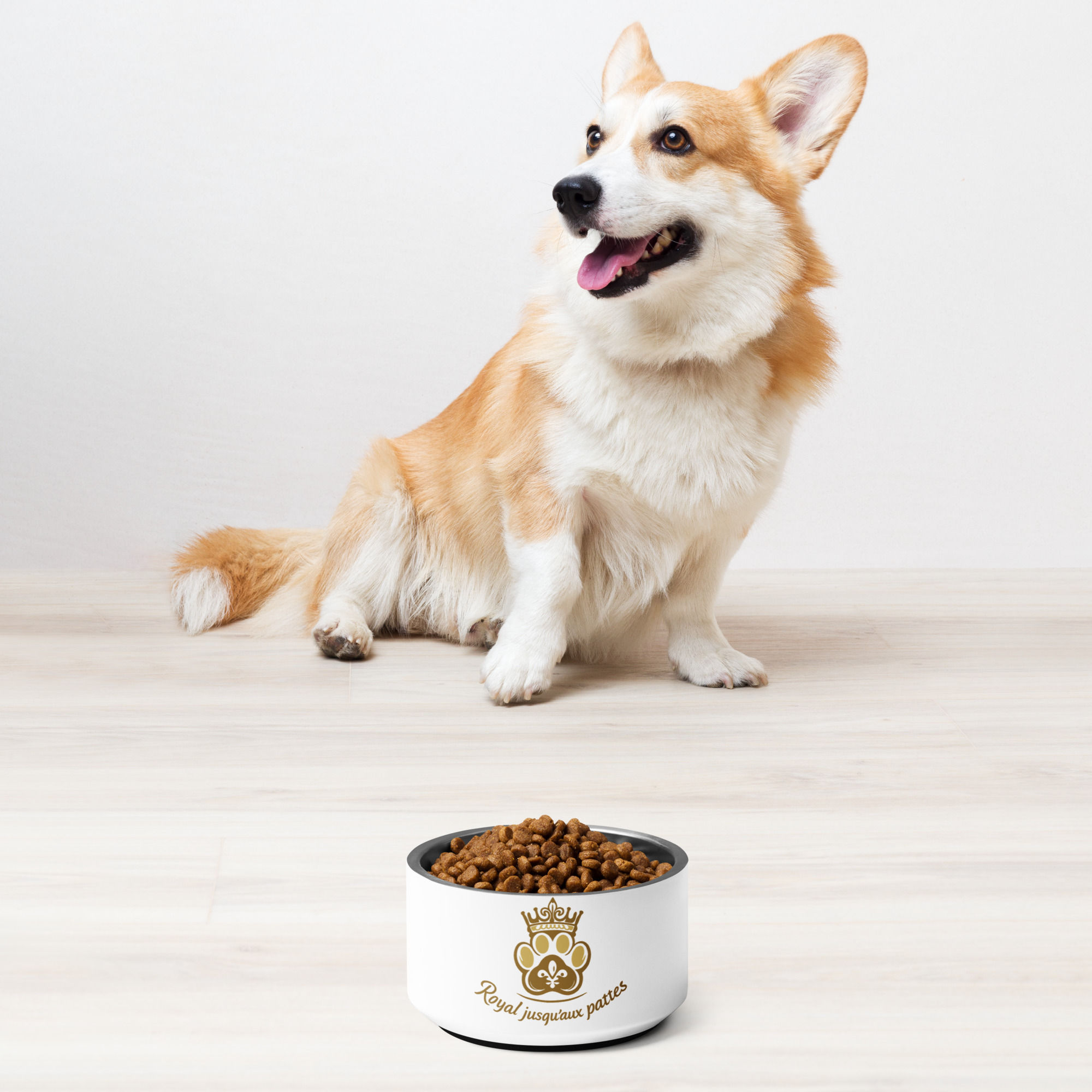 Royal jusqu'au patte - Gamelle