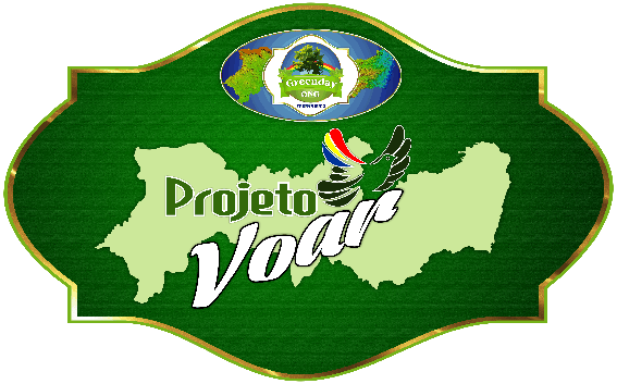 PROJETO VOAR
