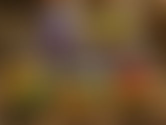 Herbs, Astrology & Spirit — A Message for Where You Are Right Now