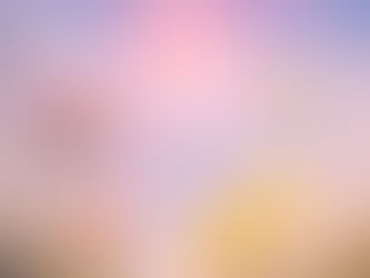 Wildflowers, The Pink Moon, and the Shift You’re Feeling