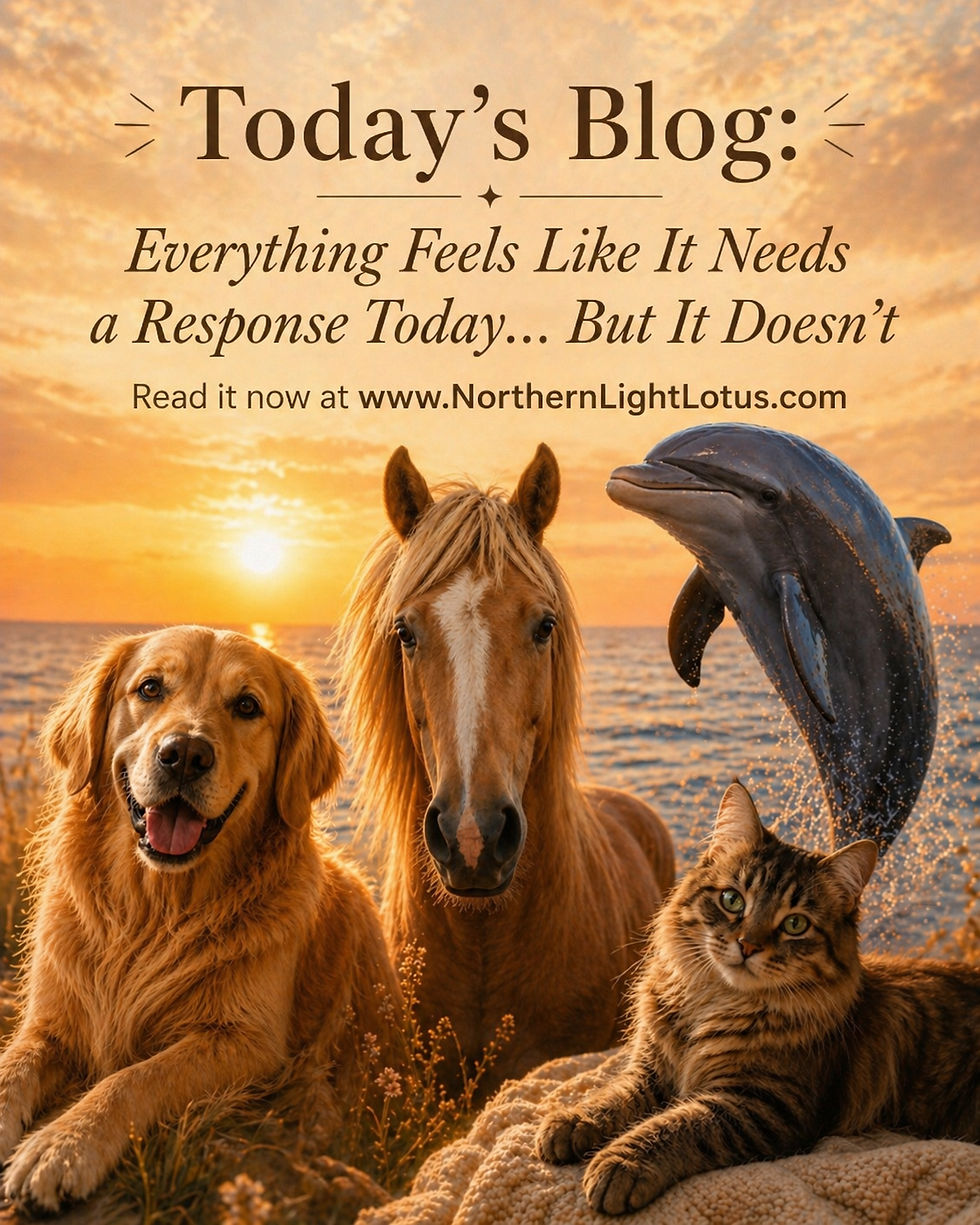 Everything Feels Like It Needs a Response Today… But It Doesn’t