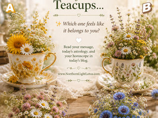 The Teacup, the Wildflowers, and the Next Chapter
