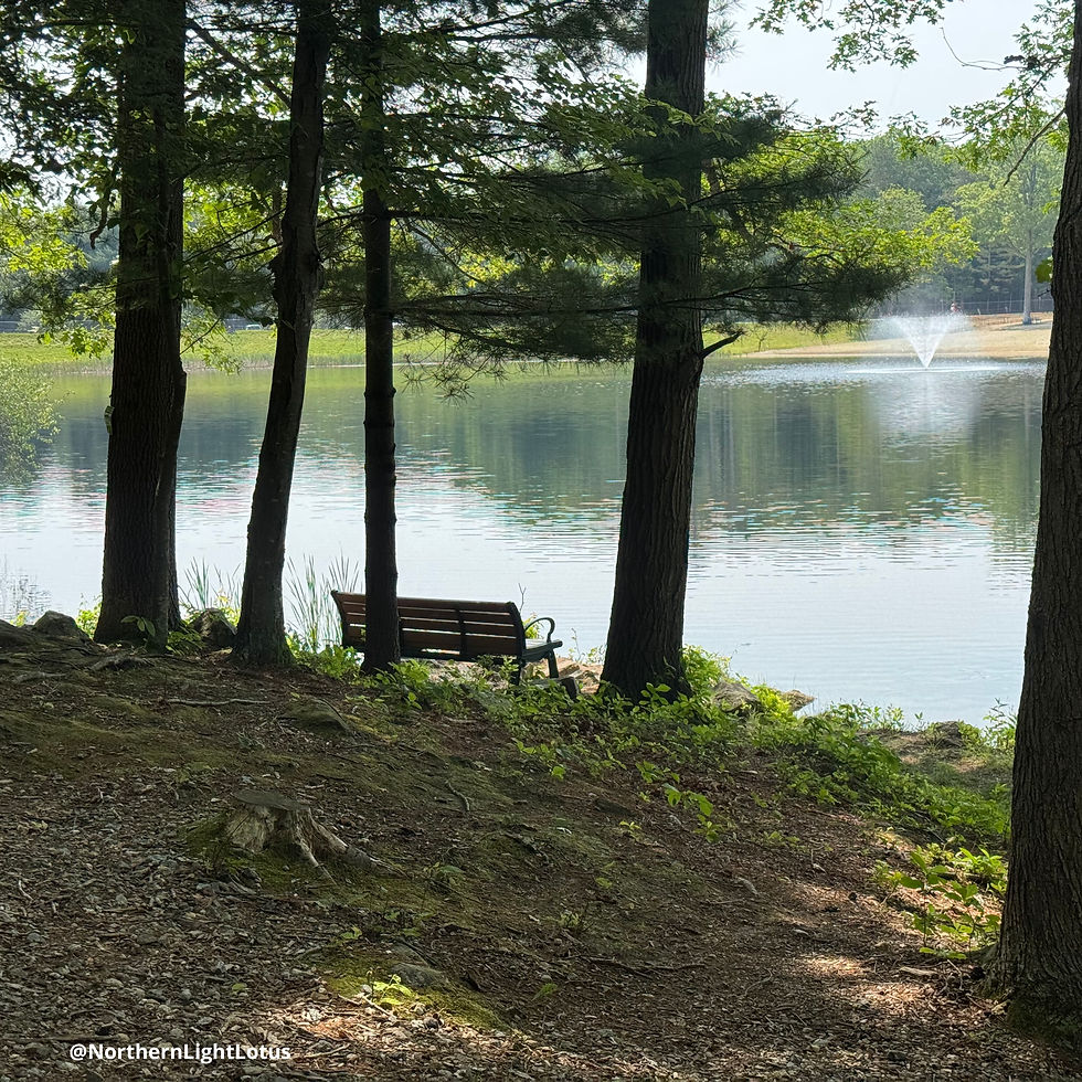 🪑 Bench by the Water Spirit Message: Pause here. Breathe. Sometimes the quiet places hold the answers your heart’s been waiting for.