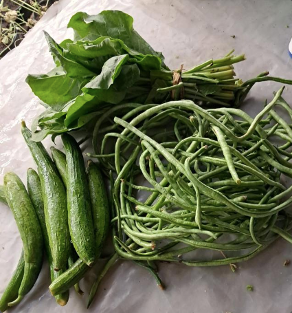 Neeno's Healthy Green Mantra - Seasonal & Local food