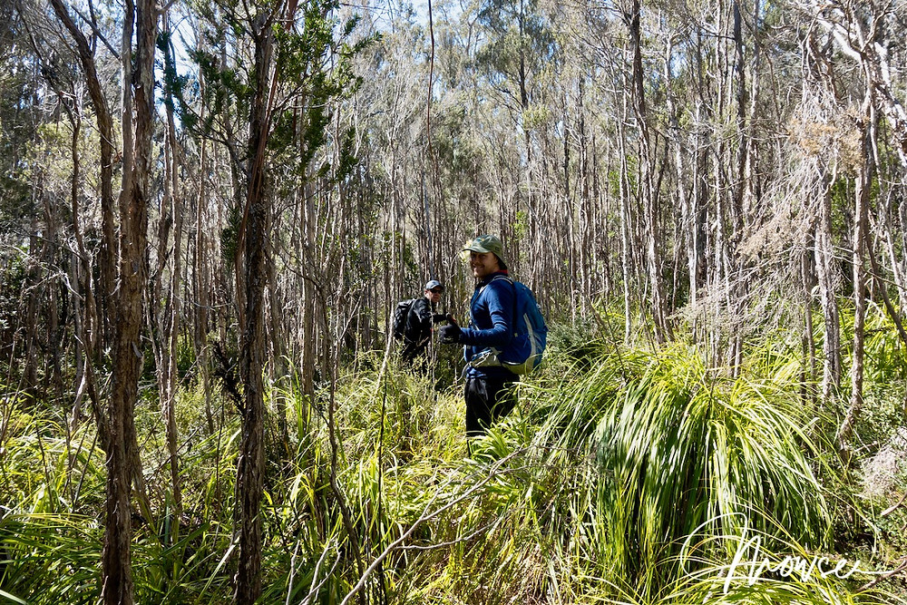 climbing Mt Hobhouse