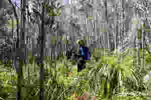climbing Mt Hobhouse