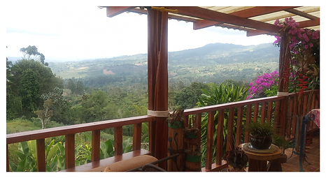 colombia tropical houses 2. 21png.png
