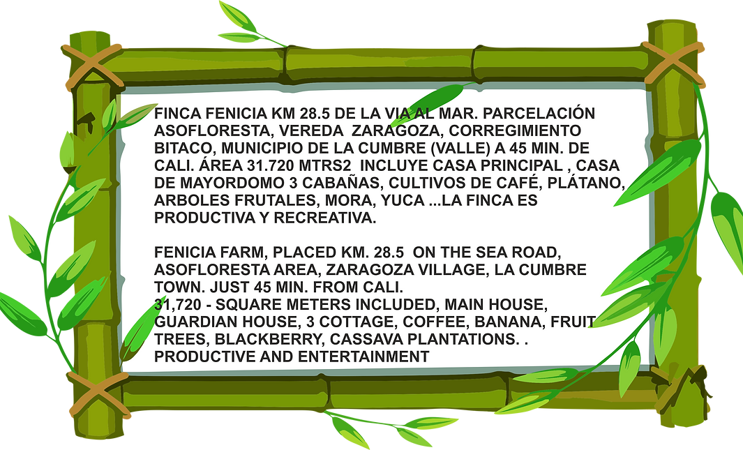 colombia tropical houses 2.png