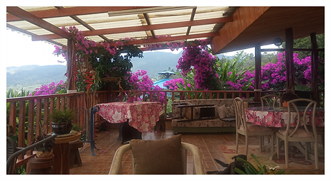 colombia tropical houses 2. 20png.png