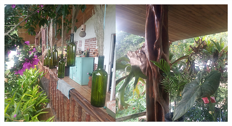colombia tropical houses 2. 24png.png