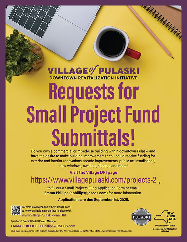 PNYDRI 09-01-25 Small Project Fund 8.5x11.jpg