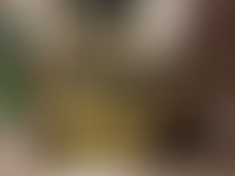 Henri Rousseau's "Tiger in a Tropical Storm," showcases Rousseau's distinctive primitive style and atmospheric drama. 