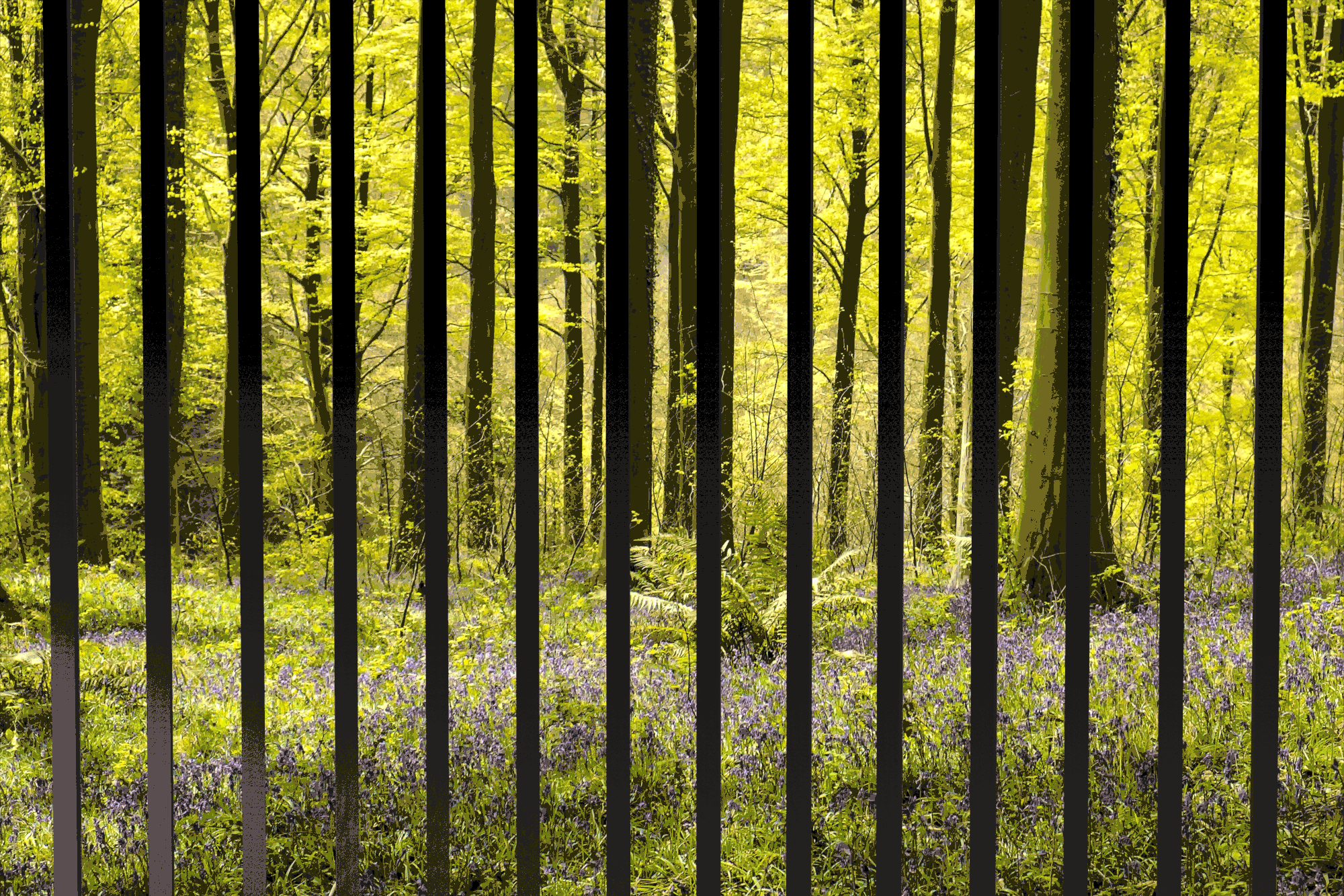 marc_gerber_design_cabane_3.gif