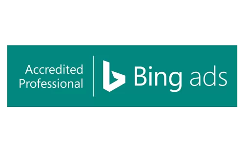 bingnew1.webp