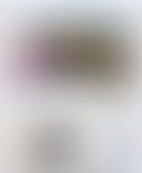  Article : Dernières Nouvelles d'Alsace(DNA)-Exposition Photographique à Benfeld 