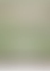 Festival Sologne Nature Image 2023