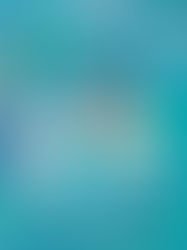 Festival Nature Ain 2024