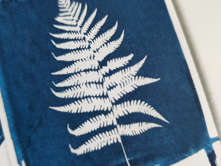 Atelier photo | Chimie et magie du Cyanotype
