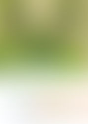 les Saisons de la photo en Grande Forêt de Saint-Hubert-2026-2027