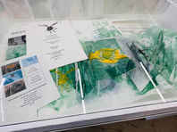 Livre d'artiste photo et gravure sur la préservation des insectes