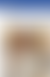 Le Web Journal Mâcon Infos met à l'honneur Exposition Naturelle pour Natur'Varennis !