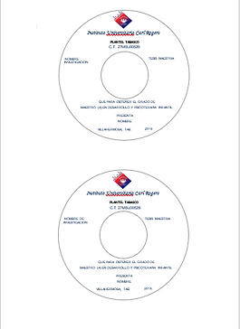 Figura descriptiva