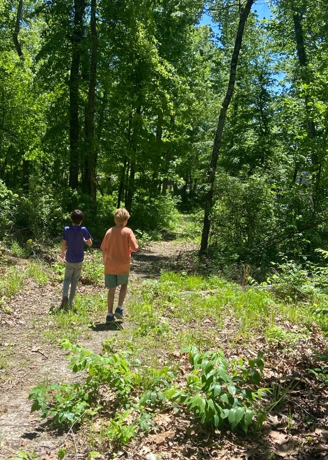 Exploring forestry