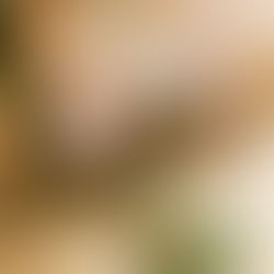 "How To Get Away From My Toxic Family" [2025]