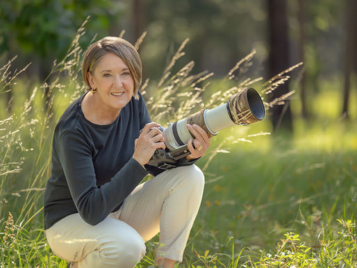 January Speaker Information