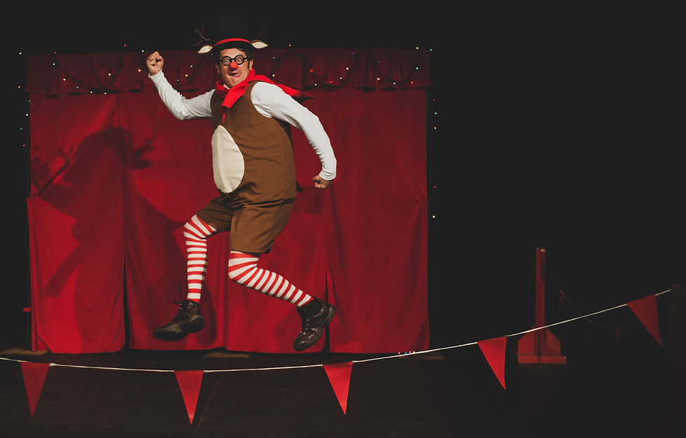 JELENČKOV PRAZNIČNI CIRKUS