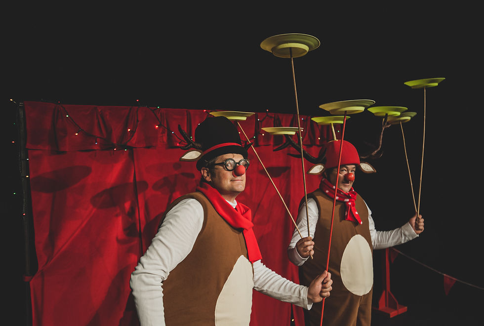 JELENČKOV PRAZNIČNI CIRKUS