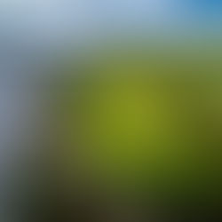 The Best of Northern Ireland Golf